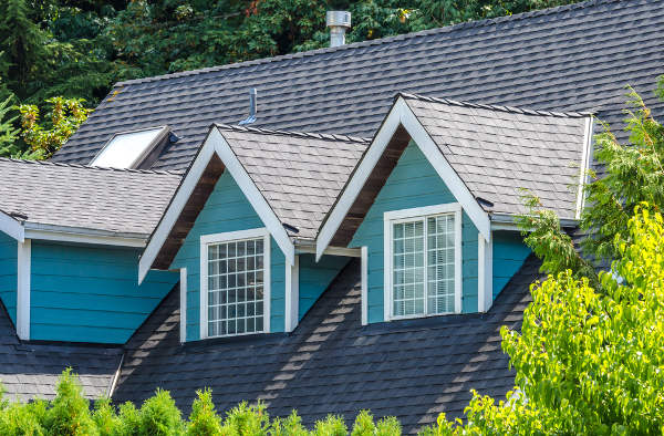 windows with roofing